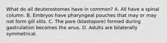 What do all deuterostomes have in common? A. All have a spinal column. B. Embryos have pharyngeal pouches that may or may not form gill slits. C. The pore (blastopore) formed during gastrulation becomes the anus. D. Adults are bilaterally symmetrical.