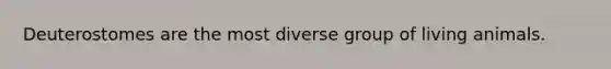 Deuterostomes are the most diverse group of living animals.