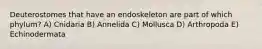 Deuterostomes that have an endoskeleton are part of which phylum? A) Cnidaria B) Annelida C) Mollusca D) Arthropoda E) Echinodermata