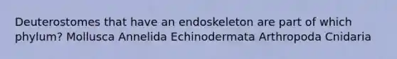 Deuterostomes that have an endoskeleton are part of which phylum? Mollusca Annelida Echinodermata Arthropoda Cnidaria