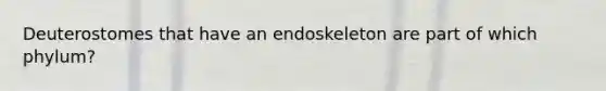 Deuterostomes that have an endoskeleton are part of which phylum?