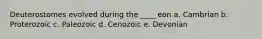 Deuterostomes evolved during the ____ eon a. Cambrian b. Proterozoic c. Paleozoic d. Cenozoic e. Devonian