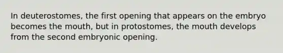 In deuterostomes, the first opening that appears on the embryo becomes the mouth, but in protostomes, the mouth develops from the second embryonic opening.