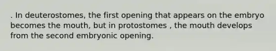 . In deuterostomes, the first opening that appears on the embryo becomes the mouth, but in protostomes , the mouth develops from the second embryonic opening.