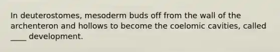 In deuterostomes, mesoderm buds off from the wall of the archenteron and hollows to become the coelomic cavities, called ____ development.