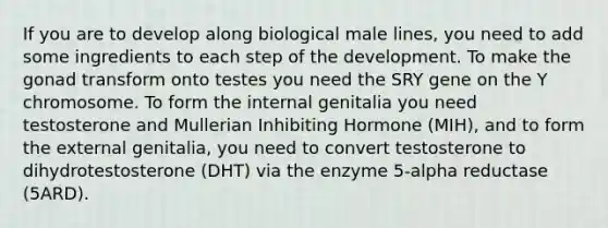 If you are to develop along biological male lines, you need to add some ingredients to each step of the development. To make the gonad transform onto testes you need the SRY gene on the Y chromosome. To form the internal genitalia you need testosterone and Mullerian Inhibiting Hormone (MIH), and to form the external genitalia, you need to convert testosterone to dihydrotestosterone (DHT) via the enzyme 5-alpha reductase (5ARD).