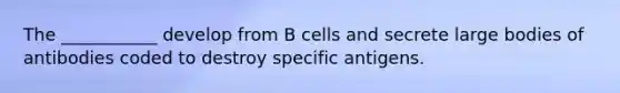 The ___________ develop from B cells and secrete large bodies of antibodies coded to destroy specific antigens.