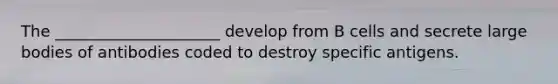 The _____________________ develop from B cells and secrete large bodies of antibodies coded to destroy specific antigens.