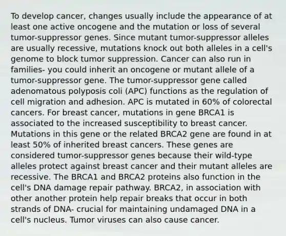 To develop cancer, changes usually include the appearance of at least one active oncogene and the mutation or loss of several tumor-suppressor genes. Since mutant tumor-suppressor alleles are usually recessive, mutations knock out both alleles in a cell's genome to block tumor suppression. Cancer can also run in families- you could inherit an oncogene or mutant allele of a tumor-suppressor gene. The tumor-suppressor gene called adenomatous polyposis coli (APC) functions as the regulation of cell migration and adhesion. APC is mutated in 60% of colorectal cancers. For breast cancer, mutations in gene BRCA1 is associated to the increased susceptibility to breast cancer. Mutations in this gene or the related BRCA2 gene are found in at least 50% of inherited breast cancers. These genes are considered tumor-suppressor genes because their wild-type alleles protect against breast cancer and their mutant alleles are recessive. The BRCA1 and BRCA2 proteins also function in the cell's DNA damage repair pathway. BRCA2, in association with other another protein help repair breaks that occur in both strands of DNA- crucial for maintaining undamaged DNA in a cell's nucleus. Tumor viruses can also cause cancer.