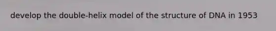 develop the double-helix model of the structure of DNA in 1953