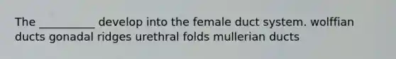 The __________ develop into the female duct system. wolffian ducts gonadal ridges urethral folds mullerian ducts