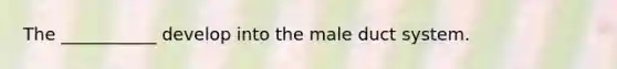 The ___________ develop into the male duct system.