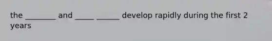 the ________ and _____ ______ develop rapidly during the first 2 years