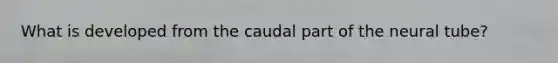 What is developed from the caudal part of the neural tube?