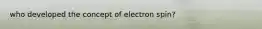 who developed the concept of electron spin?