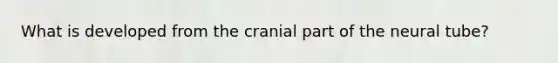 What is developed from the cranial part of the neural tube?