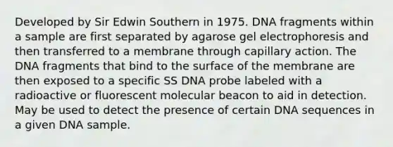 Developed by Sir Edwin Southern in 1975. DNA fragments within a sample are first separated by agarose gel electrophoresis and then transferred to a membrane through capillary action. The DNA fragments that bind to the surface of the membrane are then exposed to a specific SS DNA probe labeled with a radioactive or fluorescent molecular beacon to aid in detection. May be used to detect the presence of certain DNA sequences in a given DNA sample.