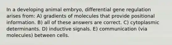 In a developing animal embryo, differential gene regulation arises from: A) gradients of molecules that provide positional information. B) all of these answers are correct. C) cytoplasmic determinants. D) inductive signals. E) communication (via molecules) between cells.