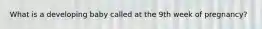 What is a developing baby called at the 9th week of pregnancy?