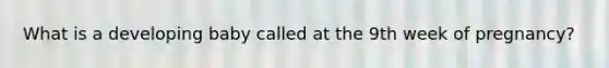 What is a developing baby called at the 9th week of pregnancy?