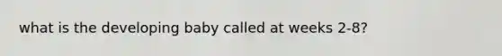 what is the developing baby called at weeks 2-8?