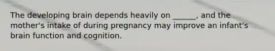 The developing brain depends heavily on ______, and the mother's intake of during pregnancy may improve an infant's brain function and cognition.