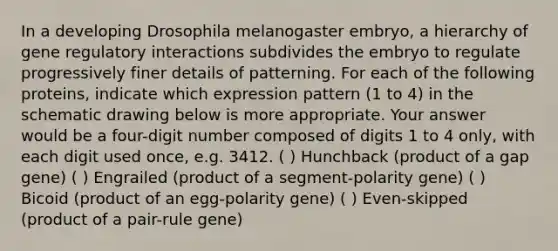 In a developing Drosophila melanogaster embryo, a hierarchy of gene regulatory interactions subdivides the embryo to regulate progressively finer details of patterning. For each of the following proteins, indicate which expression pattern (1 to 4) in the schematic drawing below is more appropriate. Your answer would be a four-digit number composed of digits 1 to 4 only, with each digit used once, e.g. 3412. ( ) Hunchback (product of a gap gene) ( ) Engrailed (product of a segment-polarity gene) ( ) Bicoid (product of an egg-polarity gene) ( ) Even-skipped (product of a pair-rule gene)