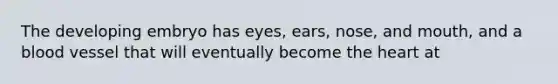 The developing embryo has eyes, ears, nose, and mouth, and a blood vessel that will eventually become the heart at