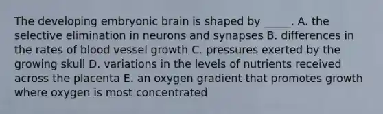 The developing embryonic brain is shaped by _____. A. the selective elimination in neurons and synapses B. differences in the rates of blood vessel growth C. pressures exerted by the growing skull D. variations in the levels of nutrients received across the placenta E. an oxygen gradient that promotes growth where oxygen is most concentrated