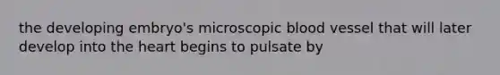 the developing embryo's microscopic blood vessel that will later develop into the heart begins to pulsate by