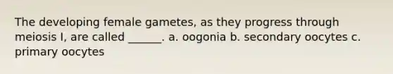 The developing female gametes, as they progress through meiosis I, are called ______. a. oogonia b. secondary oocytes c. primary oocytes