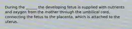 During the ______ the developing fetus is supplied with nutrients and oxygen from the mother through the umbilical cord, connecting the fetus to the placenta, which is attached to the uterus.