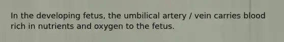 In the developing fetus, the umbilical artery / vein carries blood rich in nutrients and oxygen to the fetus.