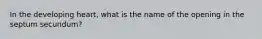 In the developing heart, what is the name of the opening in the septum secundum?