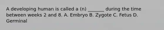 A developing human is called a (n) _______ during the time between weeks 2 and 8. A. Embryo B. Zygote C. Fetus D. Germinal