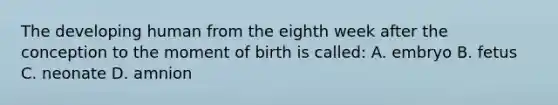 The developing human from the eighth week after the conception to the moment of birth is called: A. embryo B. fetus C. neonate D. amnion