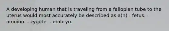 A developing human that is traveling from a fallopian tube to the uterus would most accurately be described as a(n) - fetus. - amnion. - zygote. - embryo.