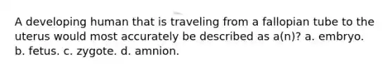 A developing human that is traveling from a fallopian tube to the uterus would most accurately be described as a(n)? a. embryo. b. fetus. c. zygote. d. amnion.