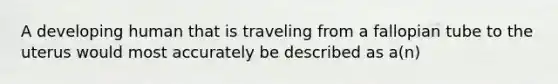 A developing human that is traveling from a fallopian tube to the uterus would most accurately be described as a(n)