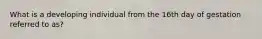 What is a developing individual from the 16th day of gestation referred to as?