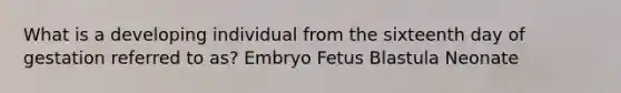 What is a developing individual from the sixteenth day of gestation referred to as? Embryo Fetus Blastula Neonate