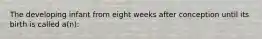 The developing infant from eight weeks after conception until its birth is called a(n):