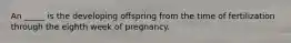 An _____ is the developing offspring from the time of fertilization through the eighth week of pregnancy.