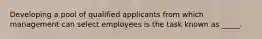 Developing a pool of qualified applicants from which management can select employees is the task known as _____.