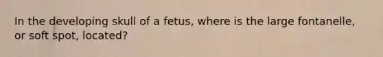 In the developing skull of a fetus, where is the large fontanelle, or soft spot, located?