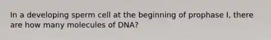 In a developing sperm cell at the beginning of prophase I, there are how many molecules of DNA?