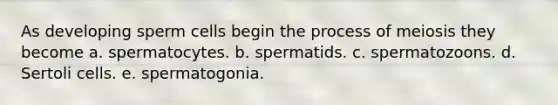 As developing sperm cells begin the process of meiosis they become a. spermatocytes. b. spermatids. c. spermatozoons. d. Sertoli cells. e. spermatogonia.