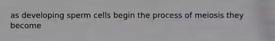 as developing sperm cells begin the process of meiosis they become