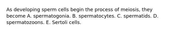 As developing sperm cells begin the process of meiosis, they become A. spermatogonia. B. spermatocytes. C. spermatids. D. spermatozoons. E. Sertoli cells.