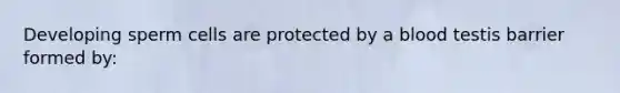 Developing sperm cells are protected by a blood testis barrier formed by: